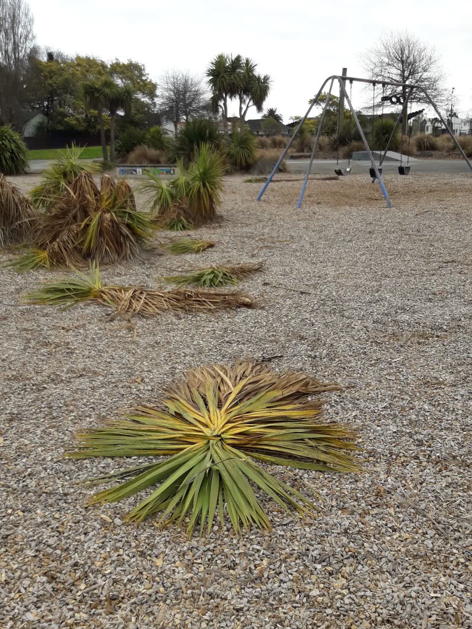 The photograph attached to this parks report