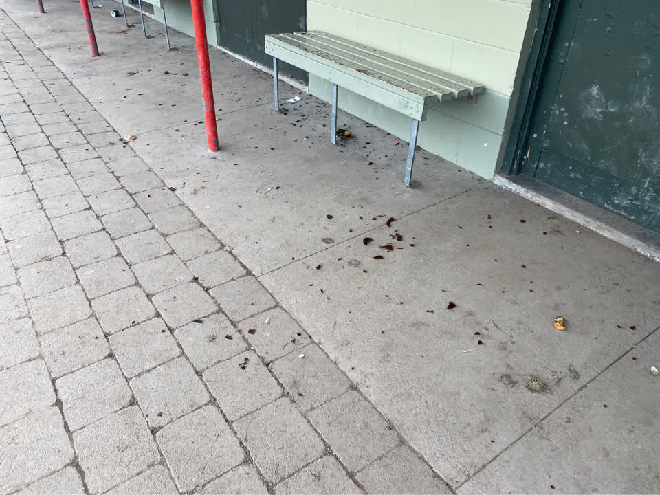 The photograph attached to this parks report