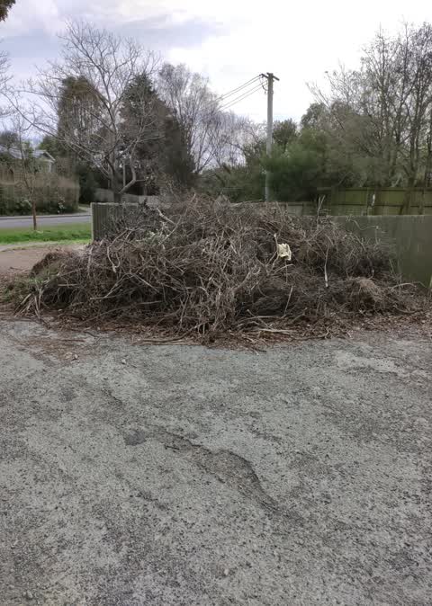 Rubbish/Recycling — a report photo