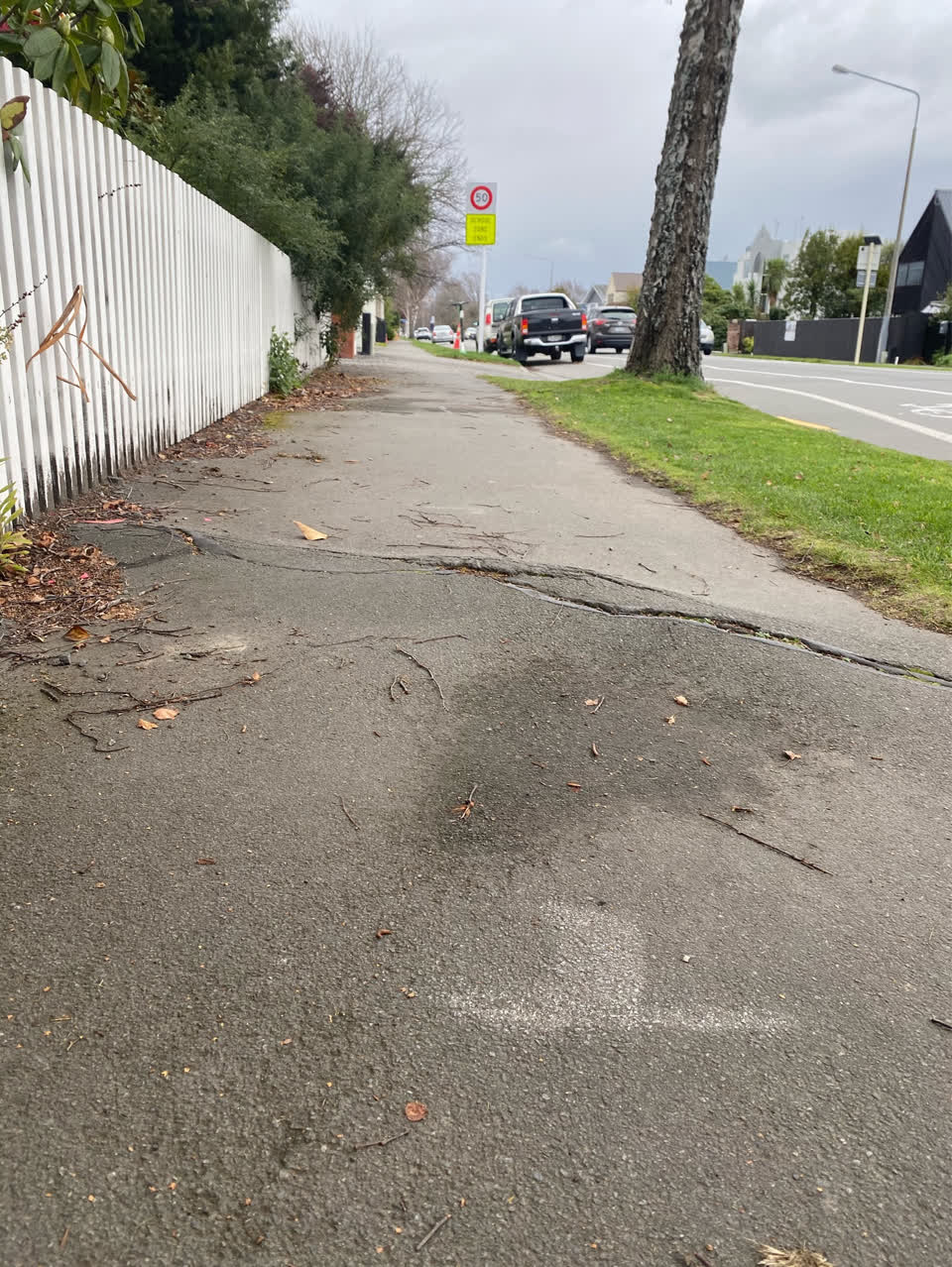 The photograph attached to this roading/streets report