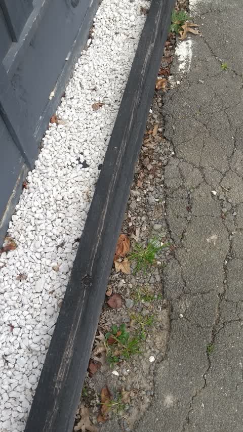 Roading/Streets, a report photo