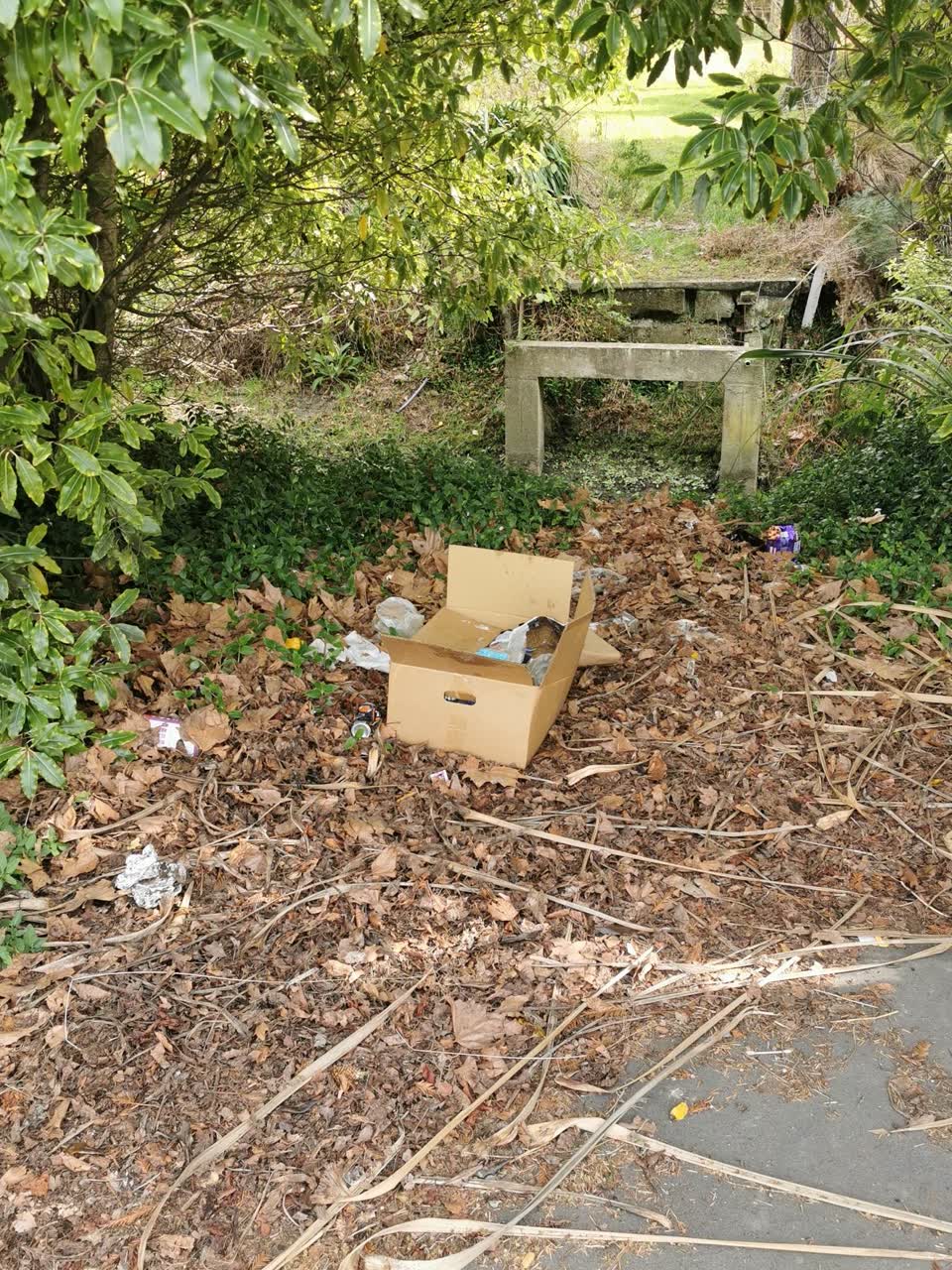 The photograph attached to this rubbish/recycling report