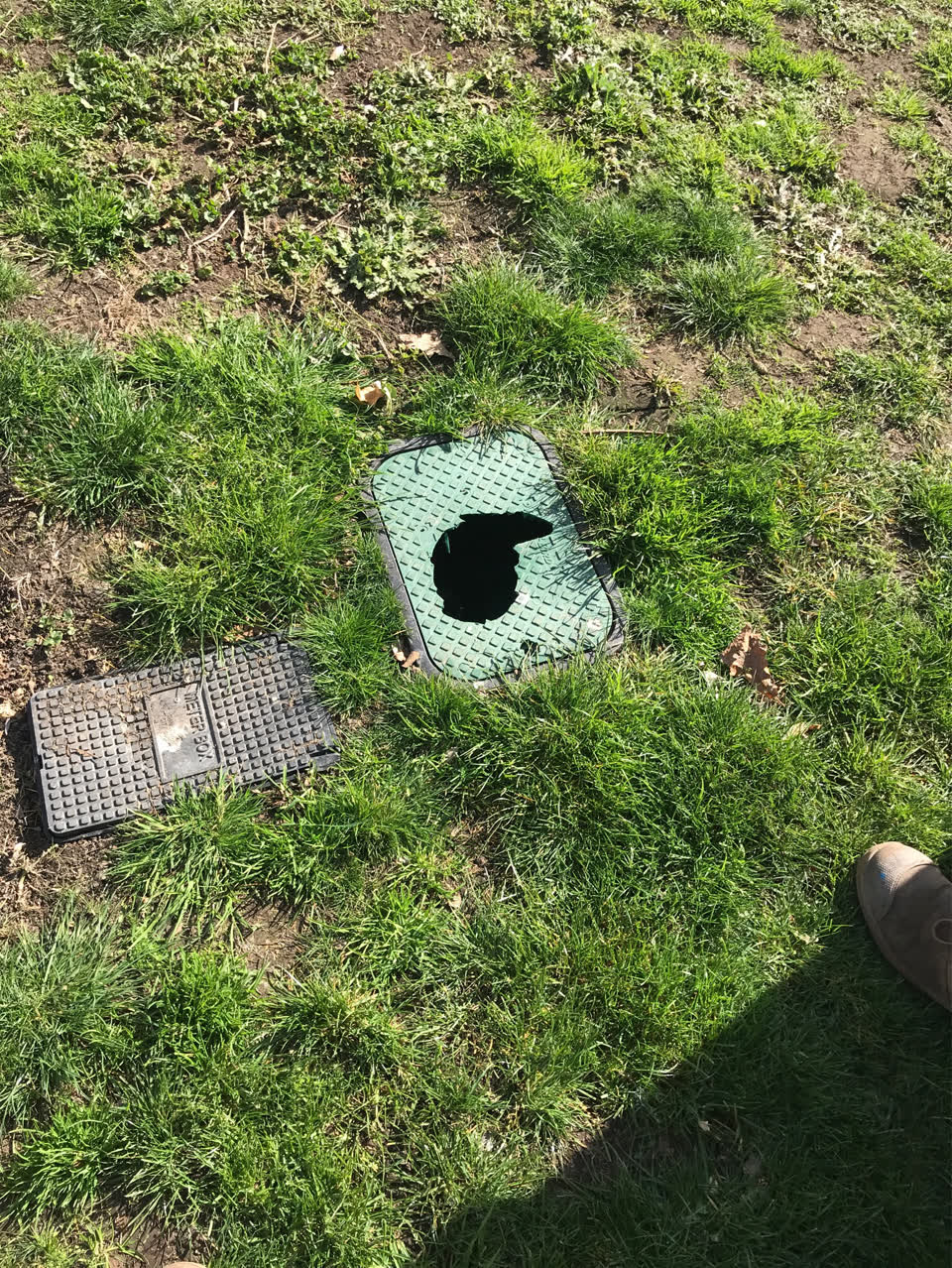 The photograph attached to this parks report