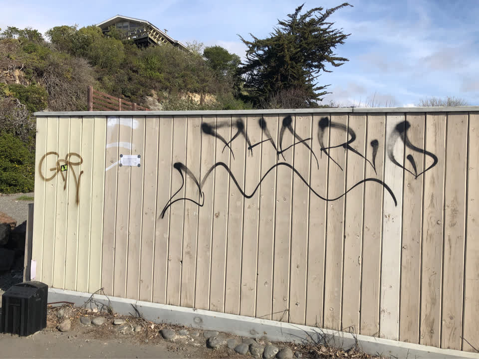 The photograph attached to this graffiti report