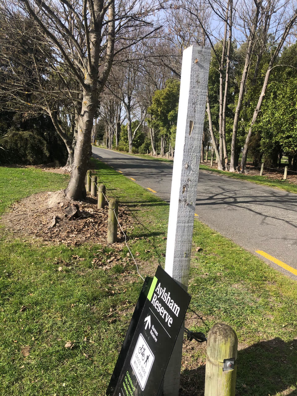 The photograph attached to this parks report