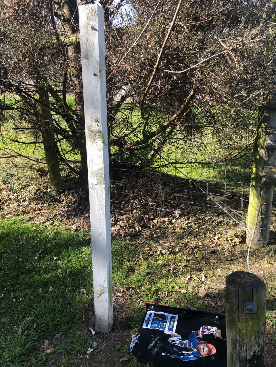 The photograph attached to this parks report