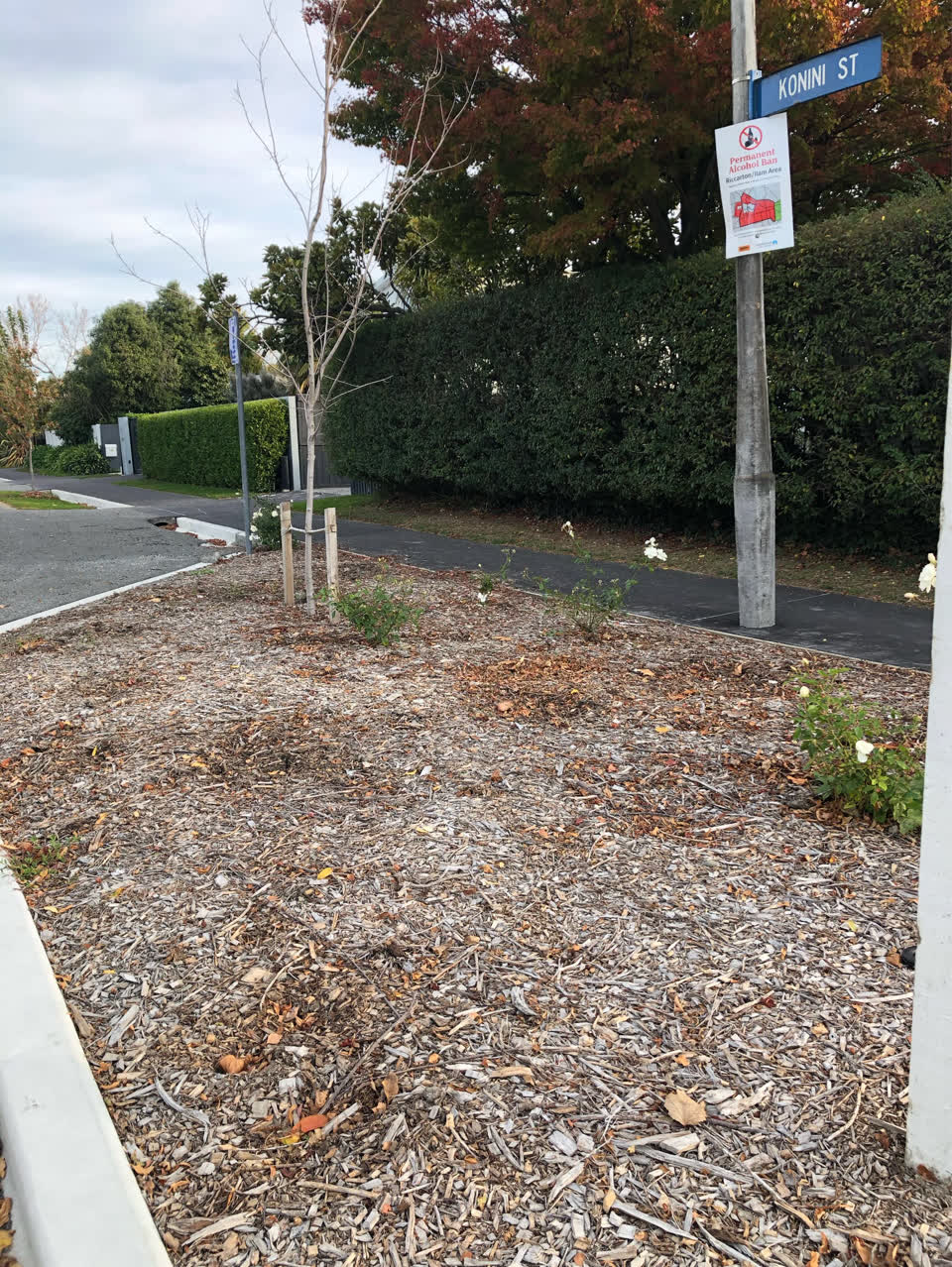 The photograph attached to this parks report