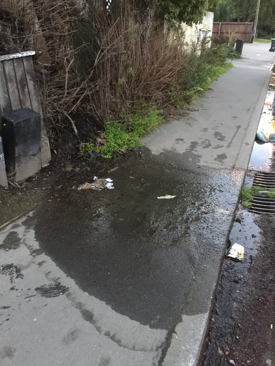 The photograph attached to this water supply report