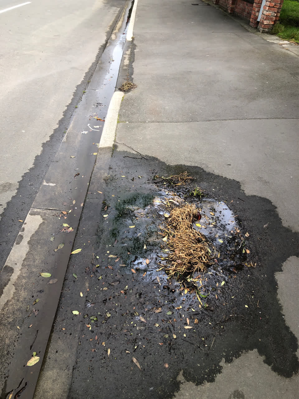 The photograph attached to this flooding report