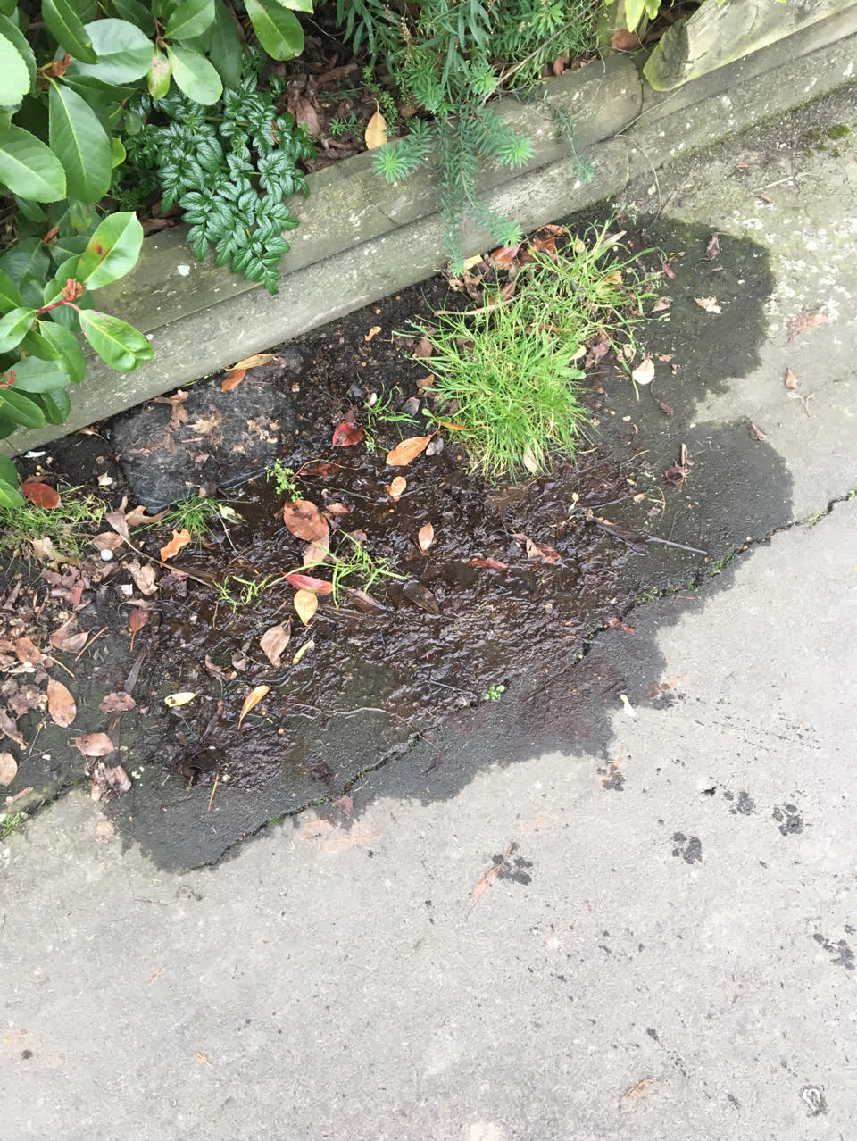 The photograph attached to this water supply report