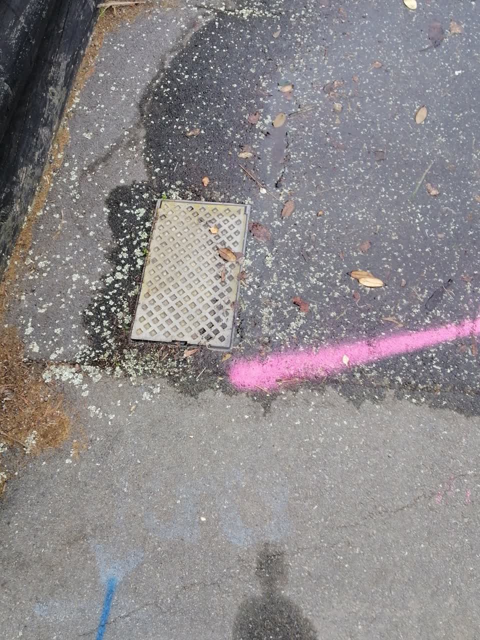 The photograph attached to this water supply report