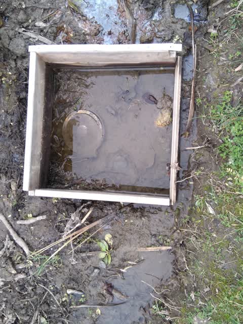 Flooding, a report photo