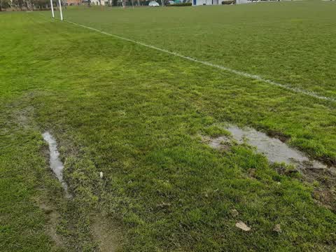 Parks, a report photo