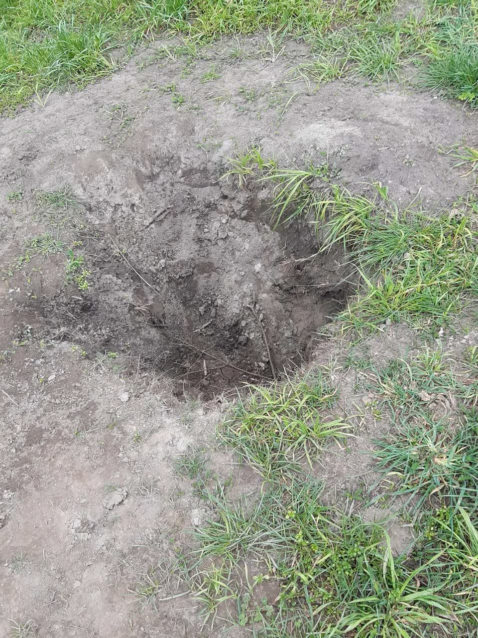 The photograph attached to this parks report