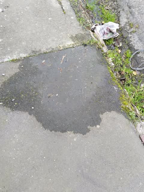 Water Supply, a report photo