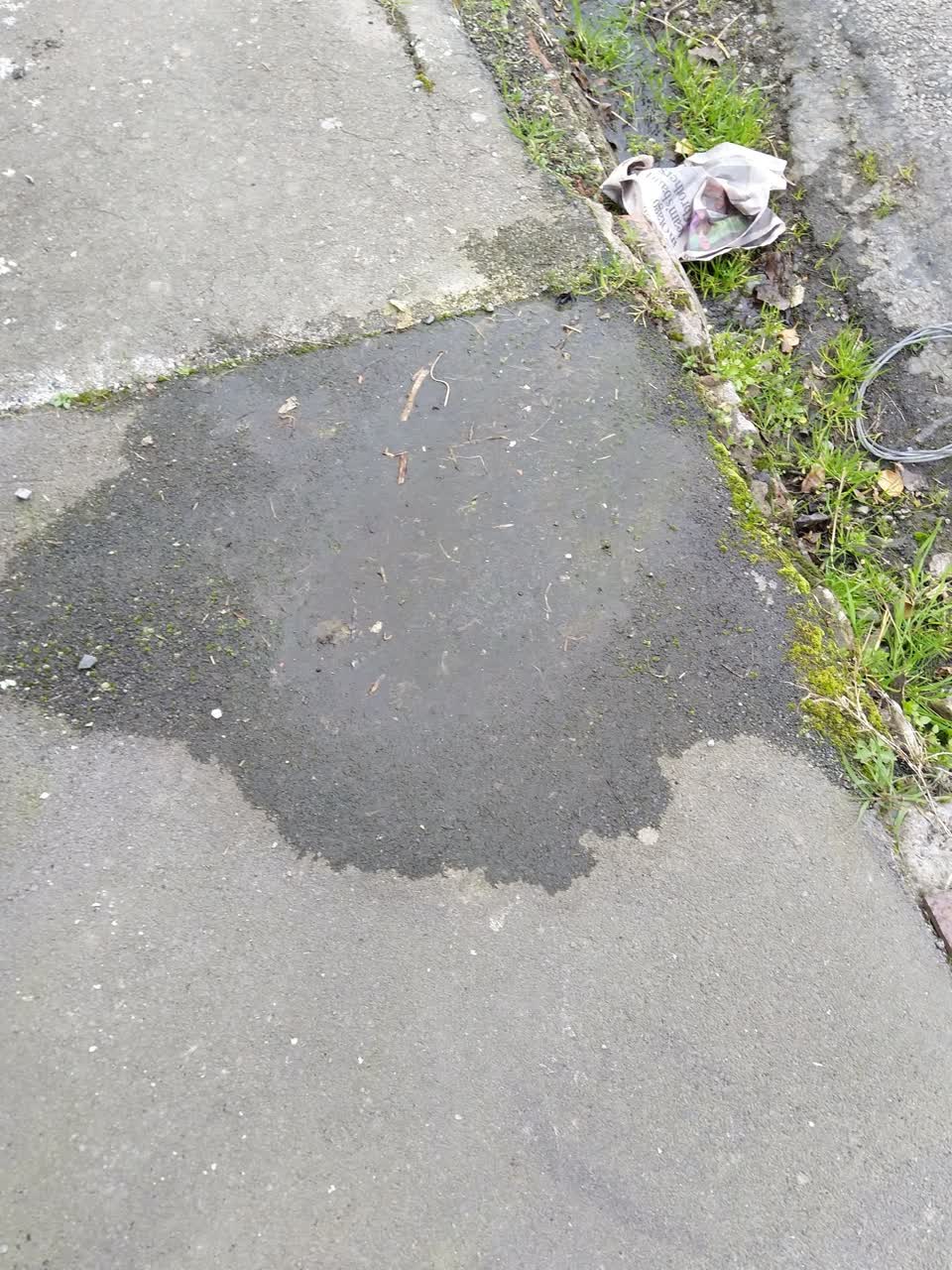 The photograph attached to this water supply report