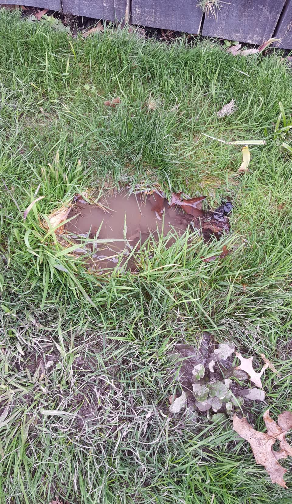 The photograph attached to this water supply report