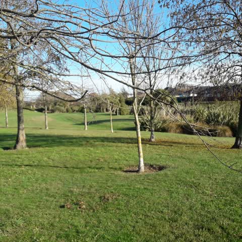 Parks, a report photo