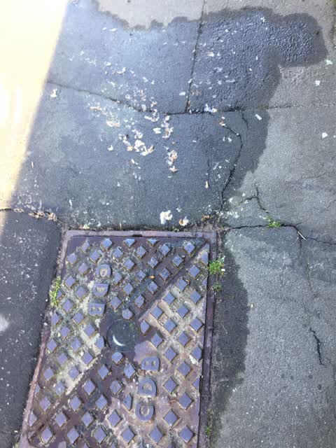 Wastewater/Stormwater, a report photo