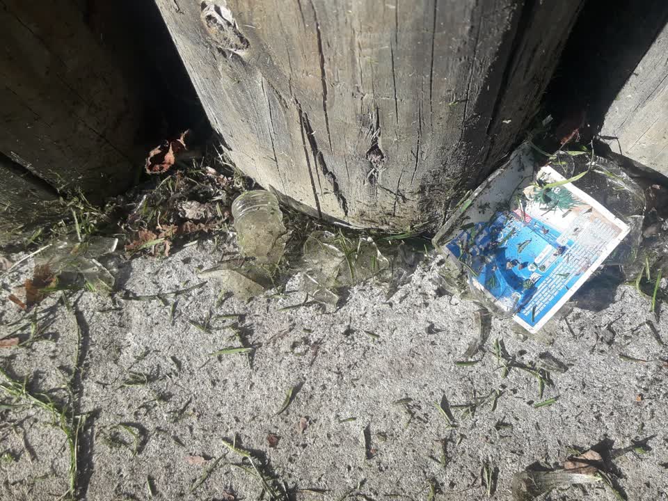 The photograph attached to this parks report