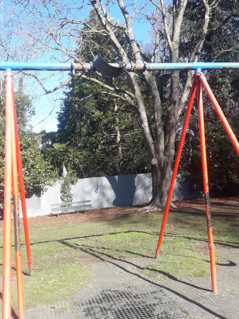 Parks, a report photo