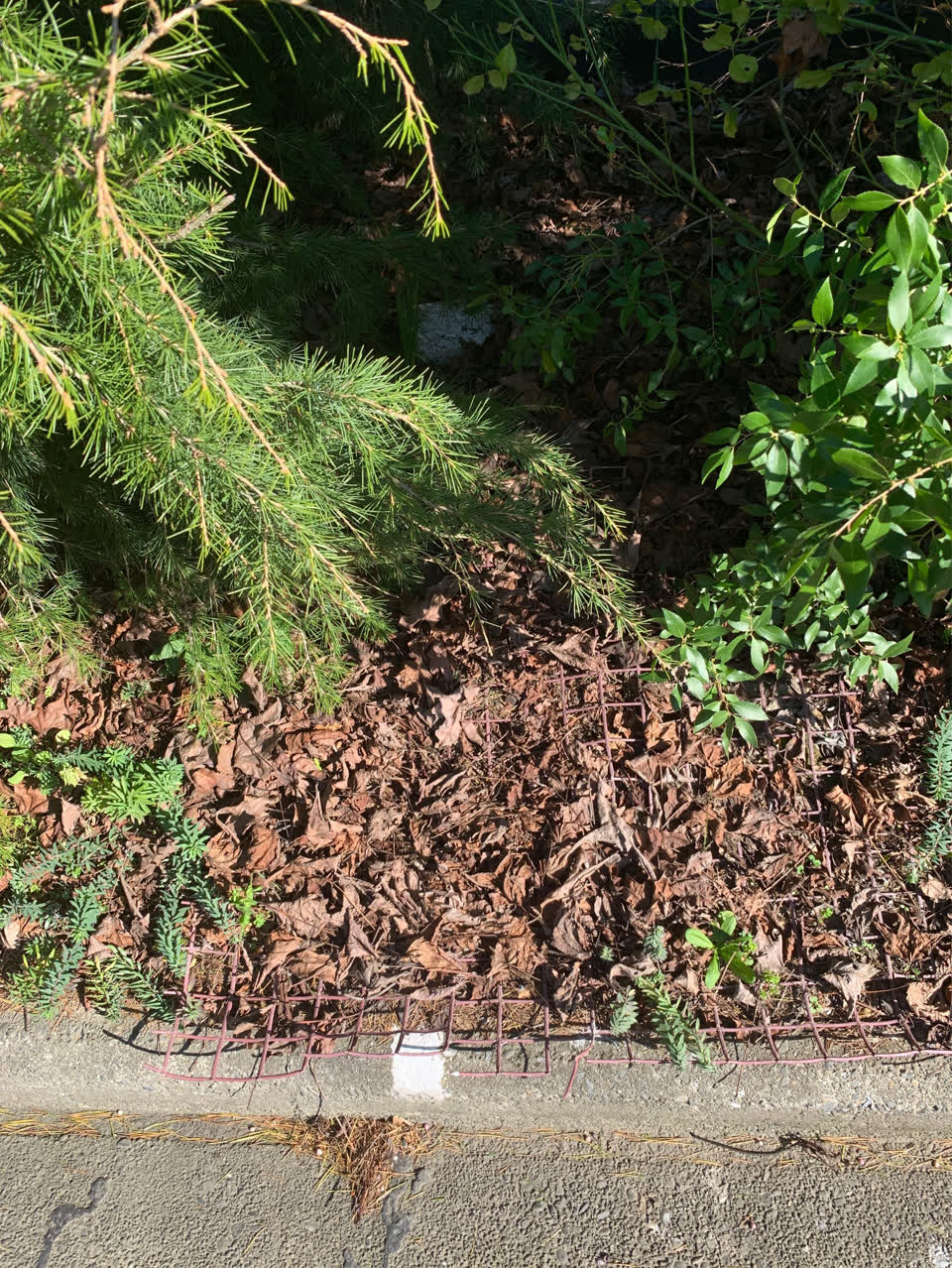 The photograph attached to this water supply report