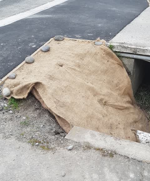 Wastewater/Stormwater, a report photo