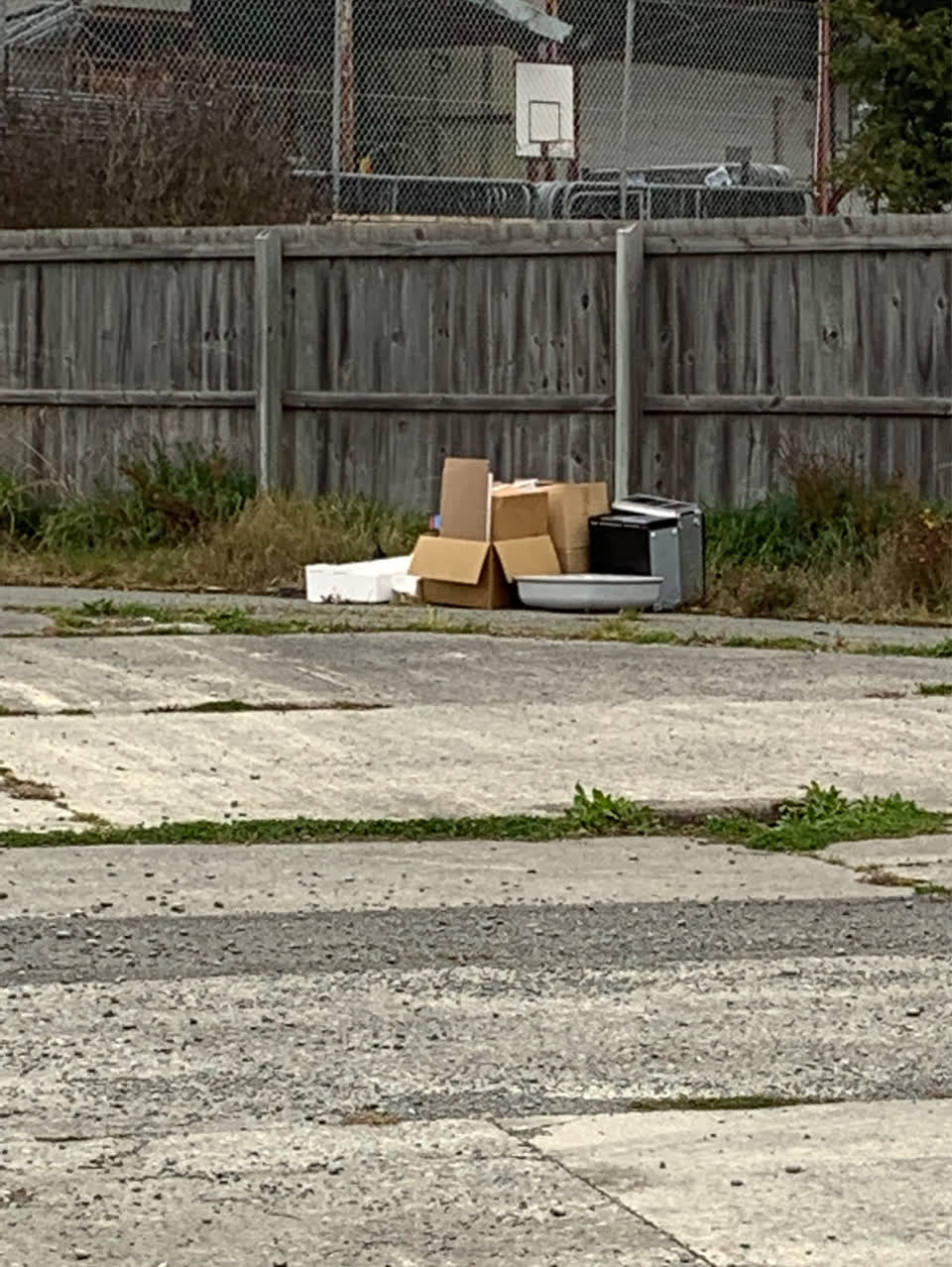 The photograph attached to this rubbish/recycling report