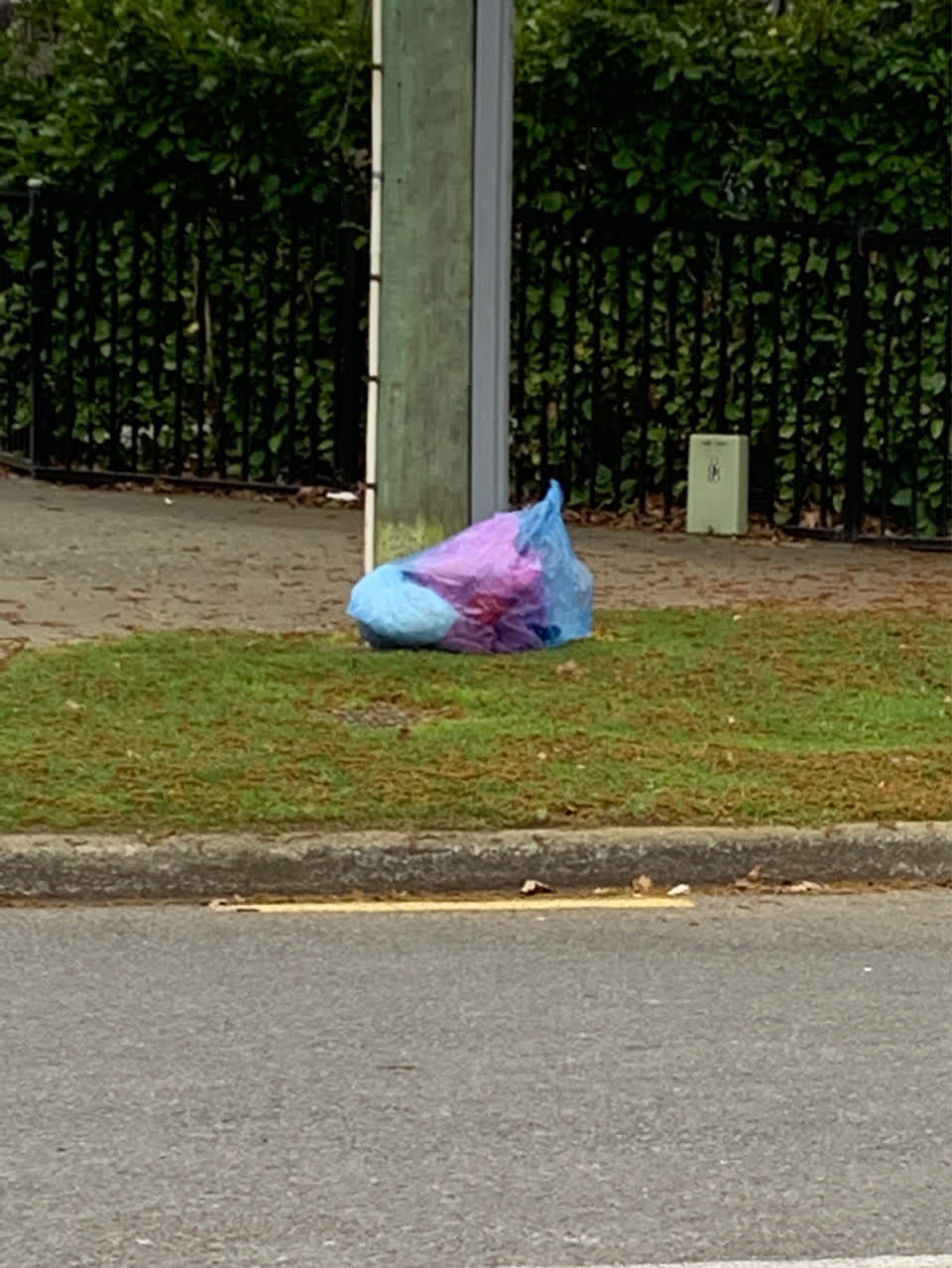 The photograph attached to this rubbish/recycling report
