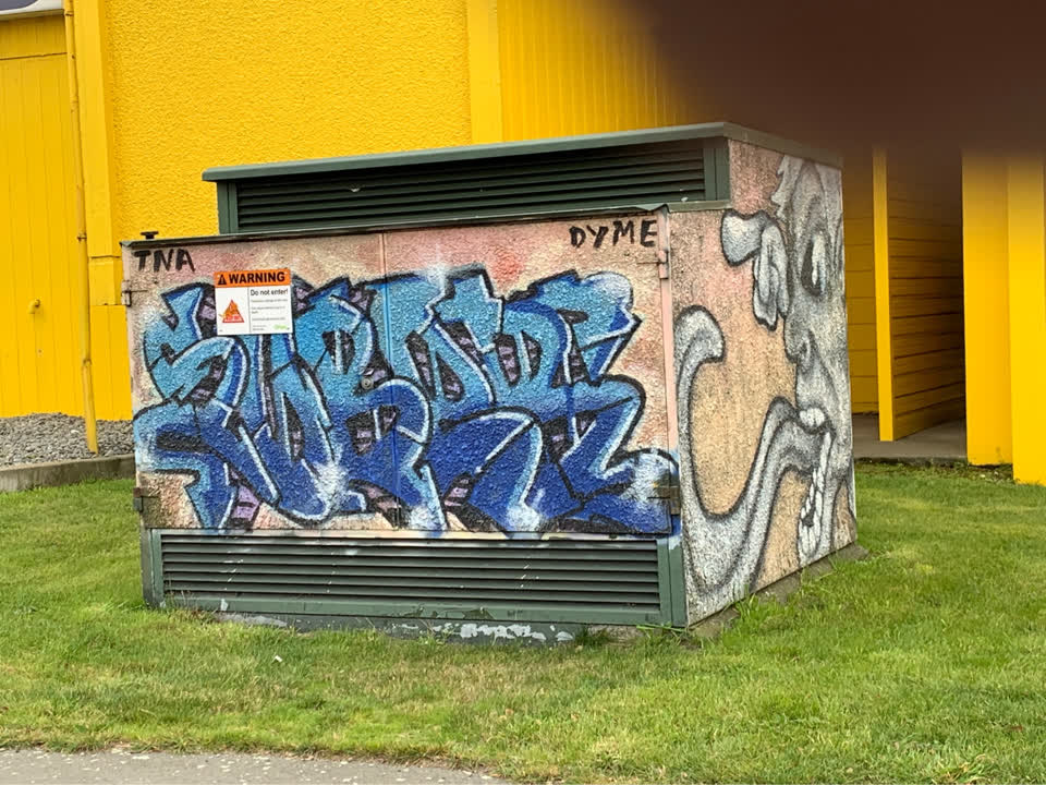 The photograph attached to this graffiti report