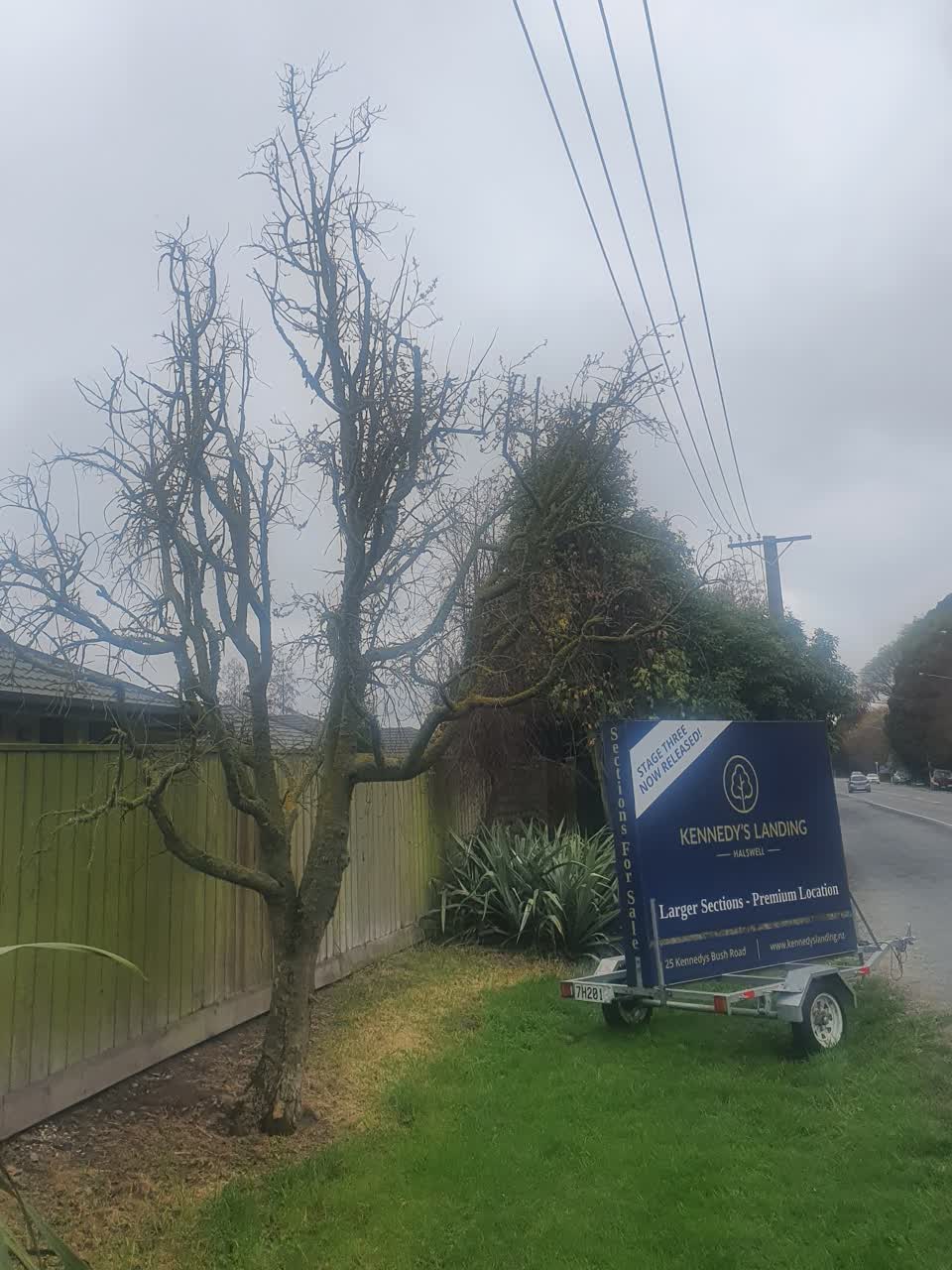 The photograph attached to this parks report