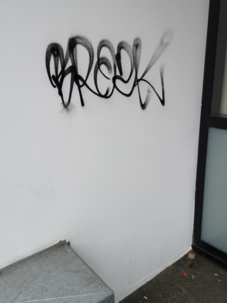 The photograph attached to this graffiti report