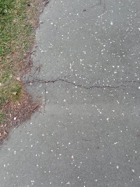 Roading/Streets, a report photo