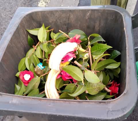 Rubbish/Recycling, a report photo