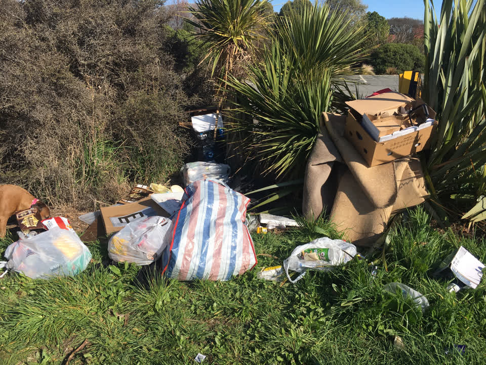 The photograph attached to this rubbish/recycling report