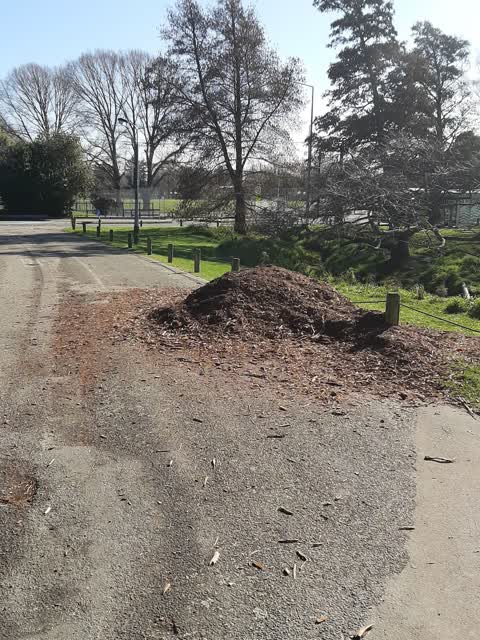 Parks, a report photo