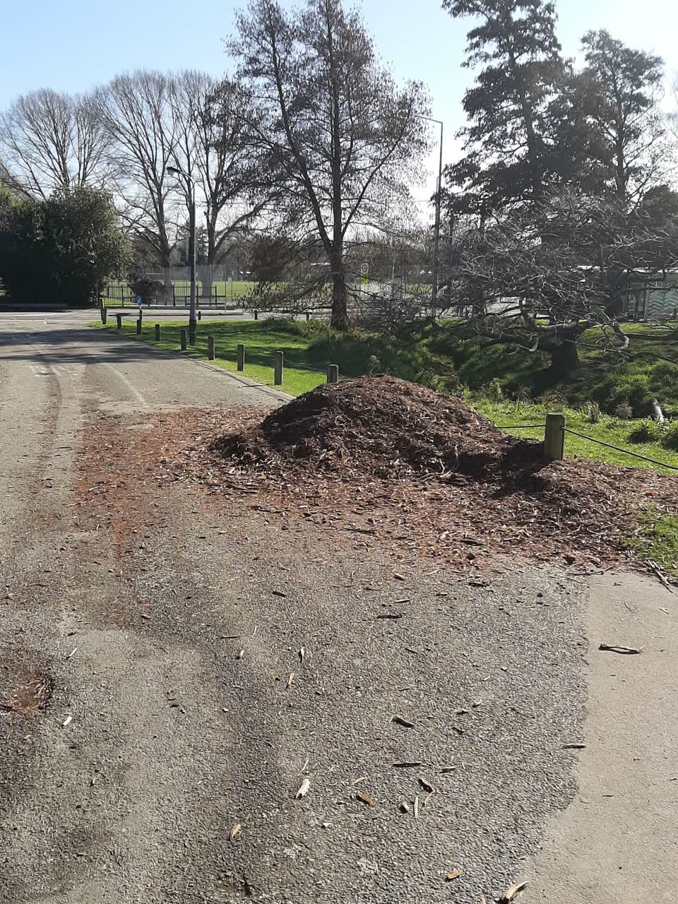 The photograph attached to this parks report