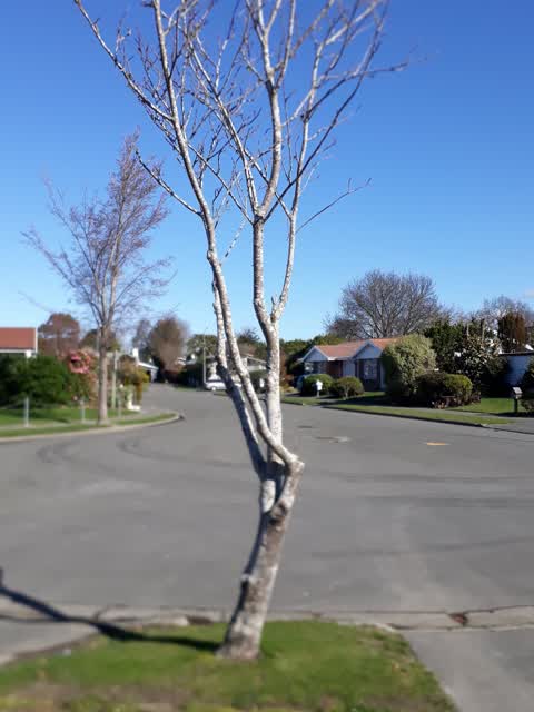 Parks, a report photo