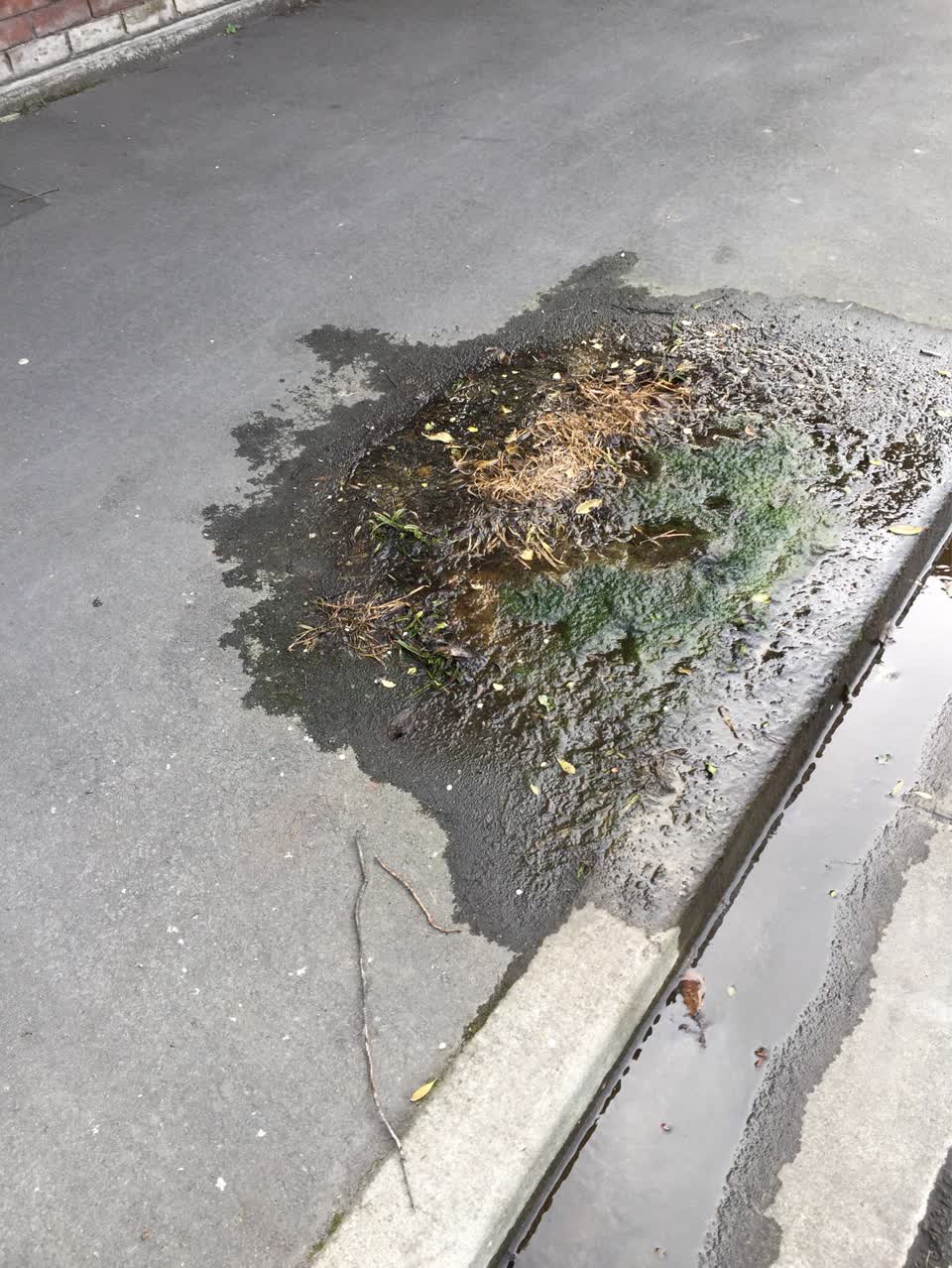 The photograph attached to this water supply report