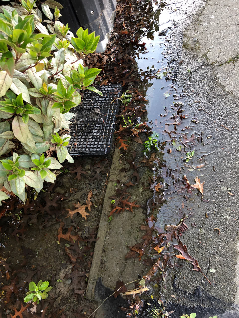 The photograph attached to this water supply report