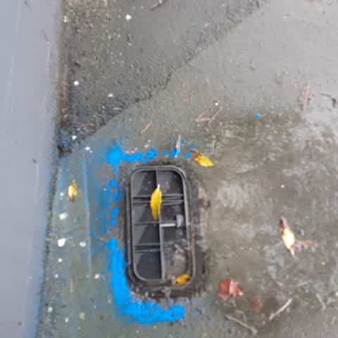 Flooding, a report photo
