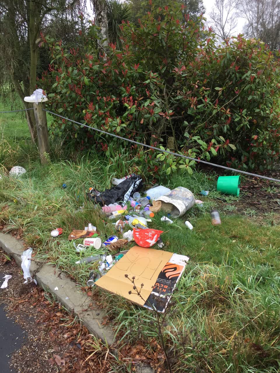The photograph attached to this rubbish/recycling report