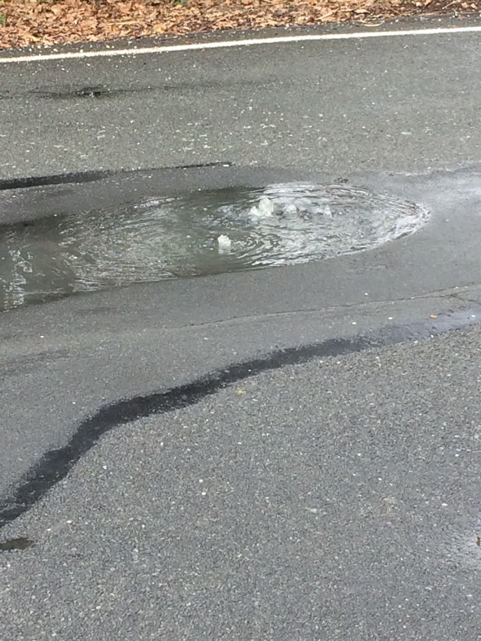 The photograph attached to this water supply report