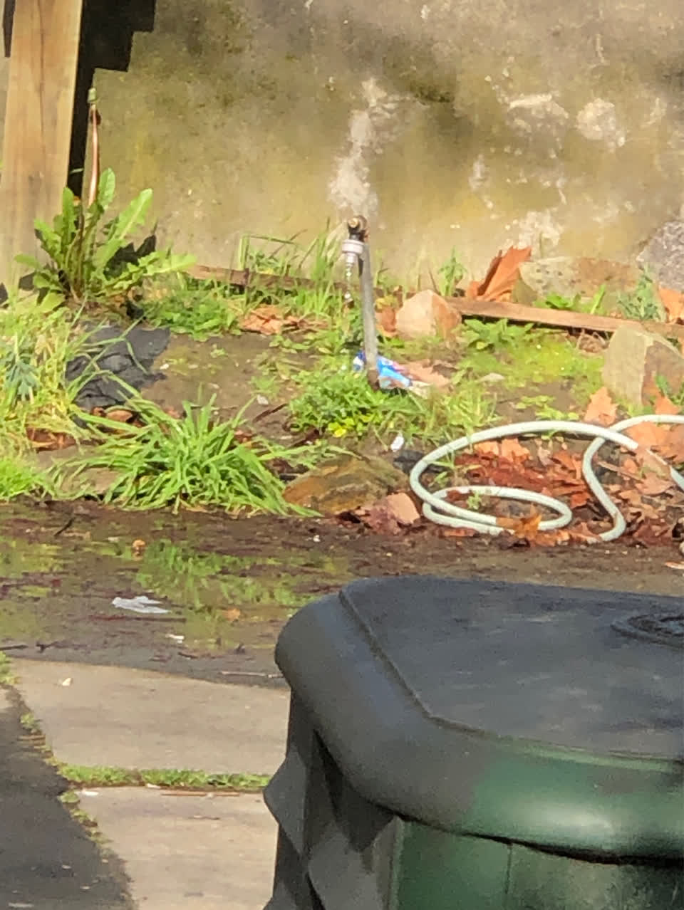 The photograph attached to this flooding report