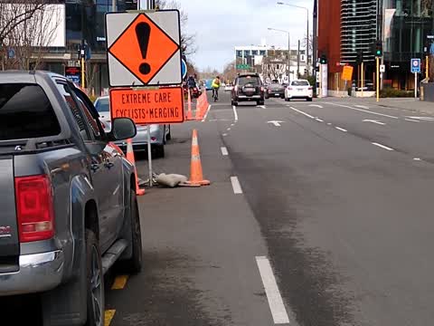 Roading/Streets, a report photo
