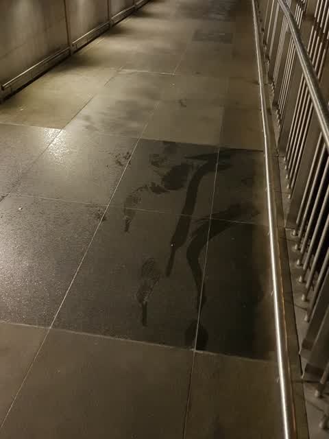 Parks, a report photo
