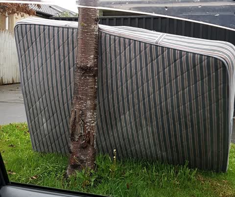 Rubbish/Recycling, a report photo