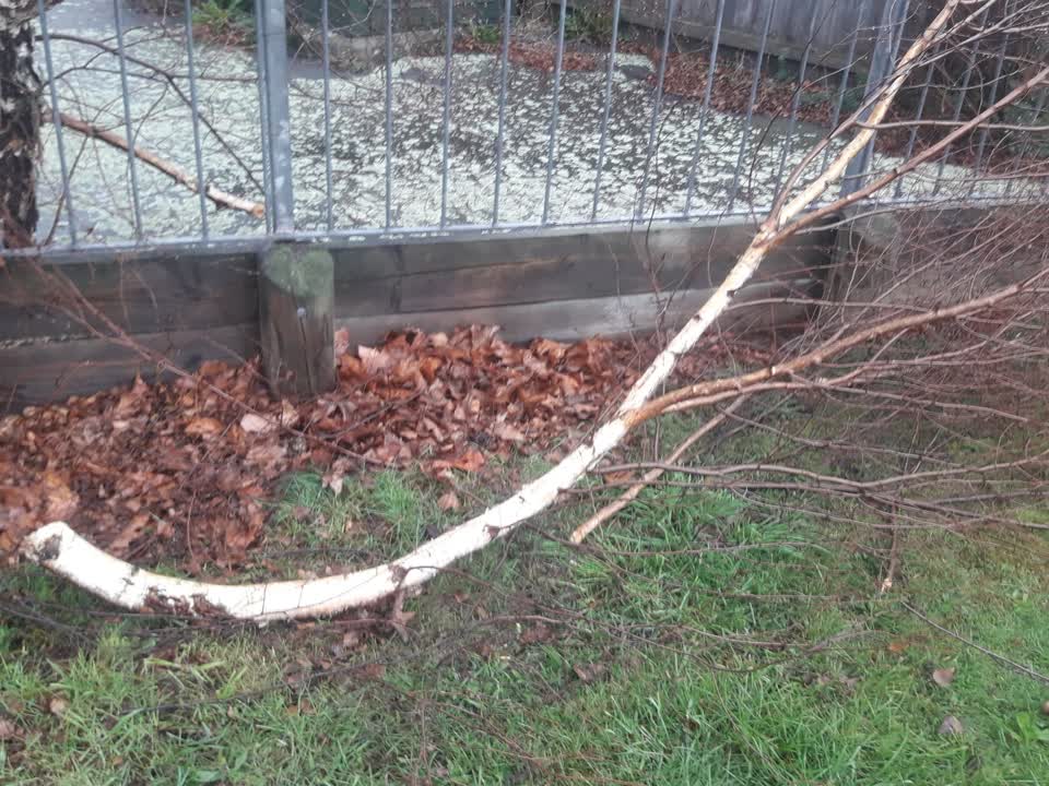 The photograph attached to this parks report