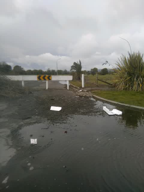 Rubbish/Recycling, a report photo