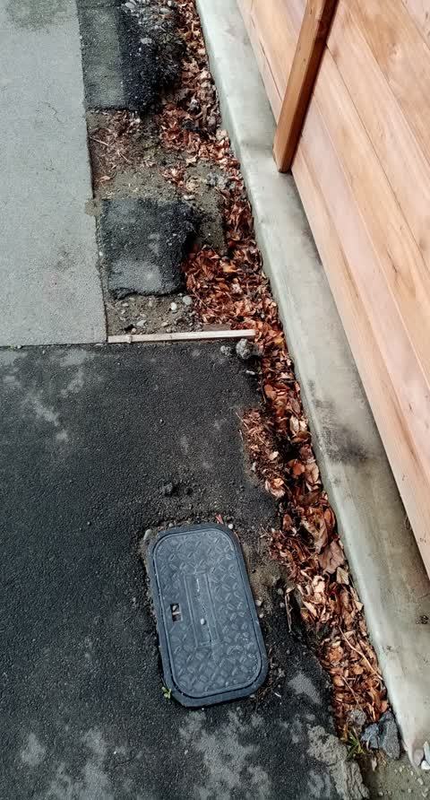 Roading/Streets, a report photo